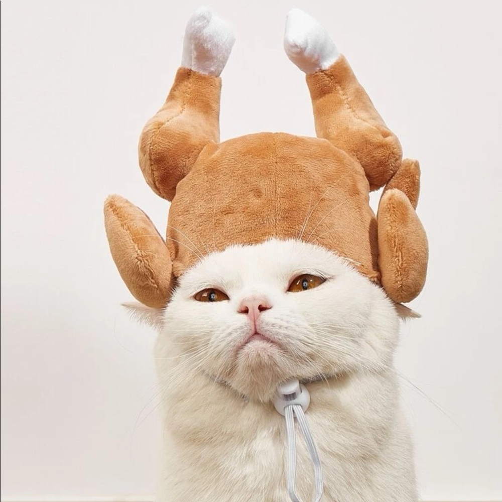 Turkey Design Pet Hat 🐈
